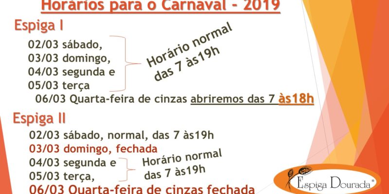 carnaval site 800x400 - Carnaval 2019 - Espiga Dourada